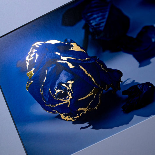 Blue Rose