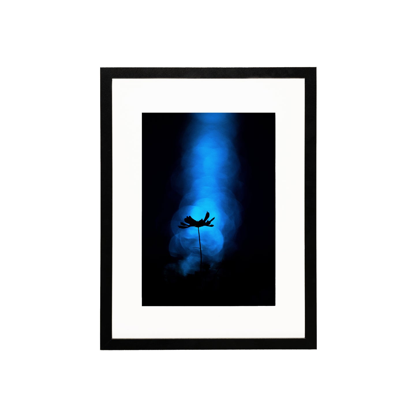 Lonely (A4)