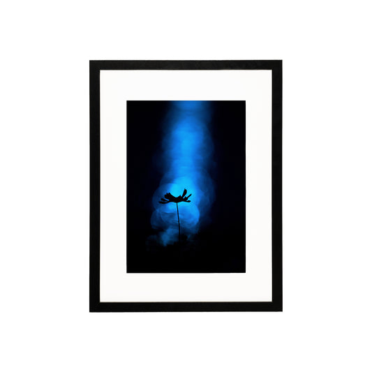 Lonely (A4)
